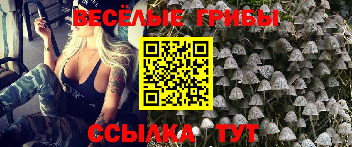 Галлюциногенные грибы ЛСД Сегежа