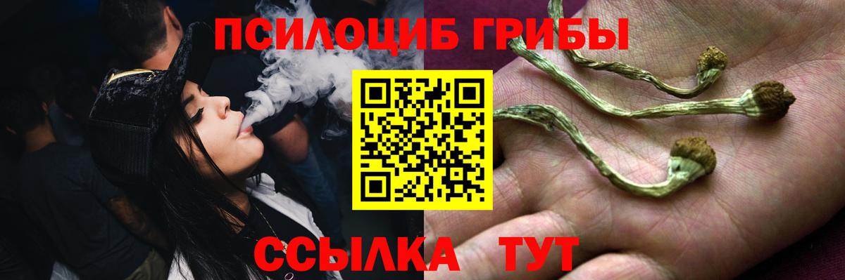 Галлюциногенные грибы ЛСД  Псилоцибиновые грибы Psilocybe  Сегежа  закладка  Вход с VPN 
